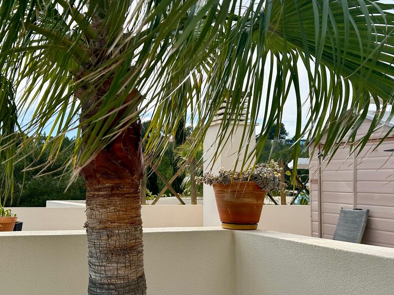 Apartment for Rent in Cala Vinyas, Balearic Islands 11