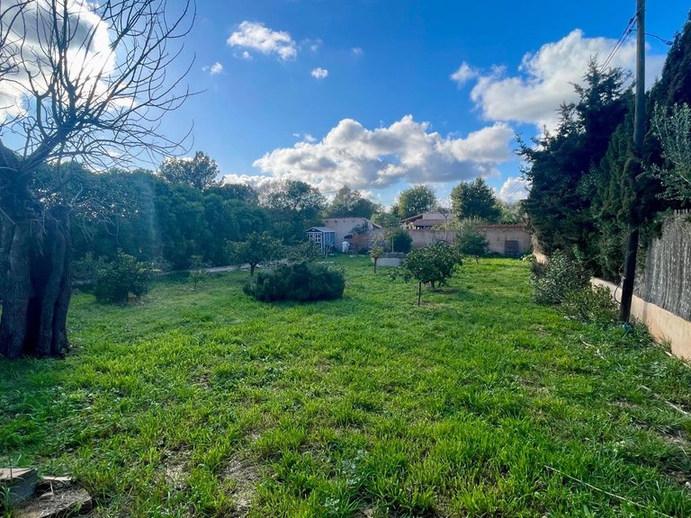 Country House for Sale in Llucmajor, Balearic Islands 23