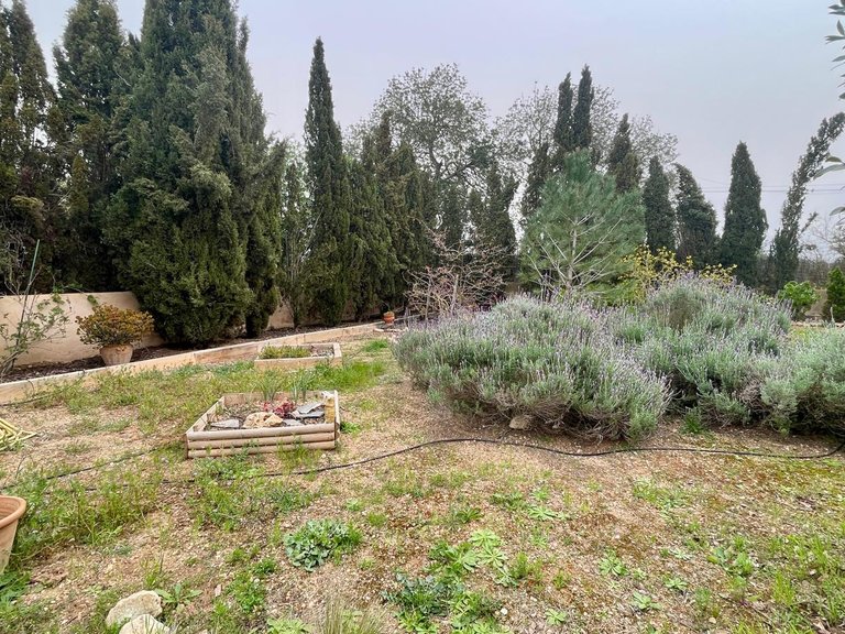 Country House for Sale in Llucmajor, Balearic Islands 17