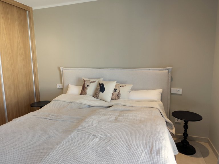 Penthouse for Sale in Ses Salines, Balearic Islands 9