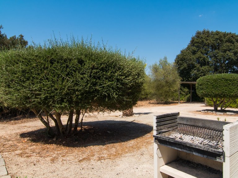 Country House for Rent in Algaida, Balearic Islands 22