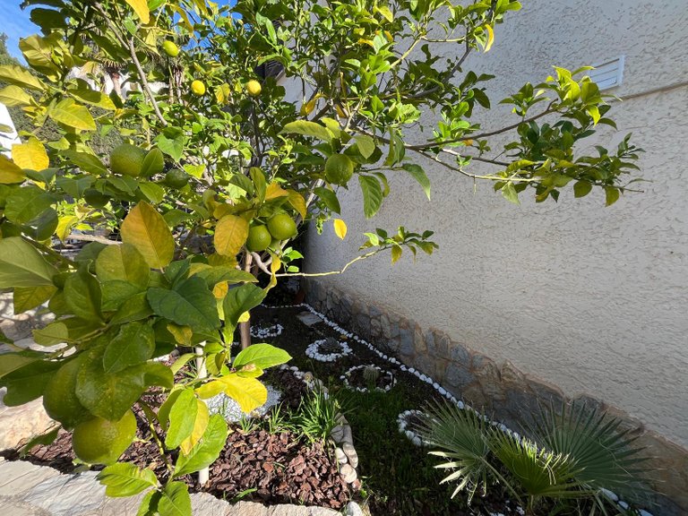 Villa for Sale in Costa De La Calma, Balearic Islands 27