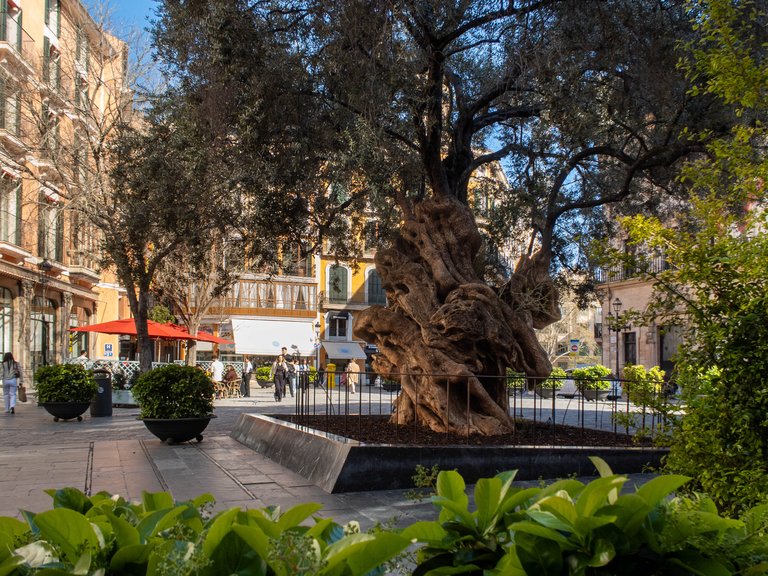 Apartment for Sale in Palma Old Town, Balearic Islands 12