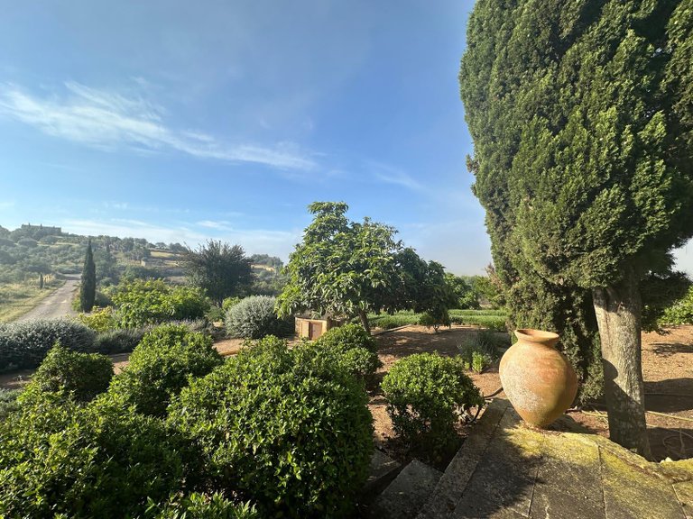 Country House for Rent in Lloret De Vistalegre, Balearic Islands 2