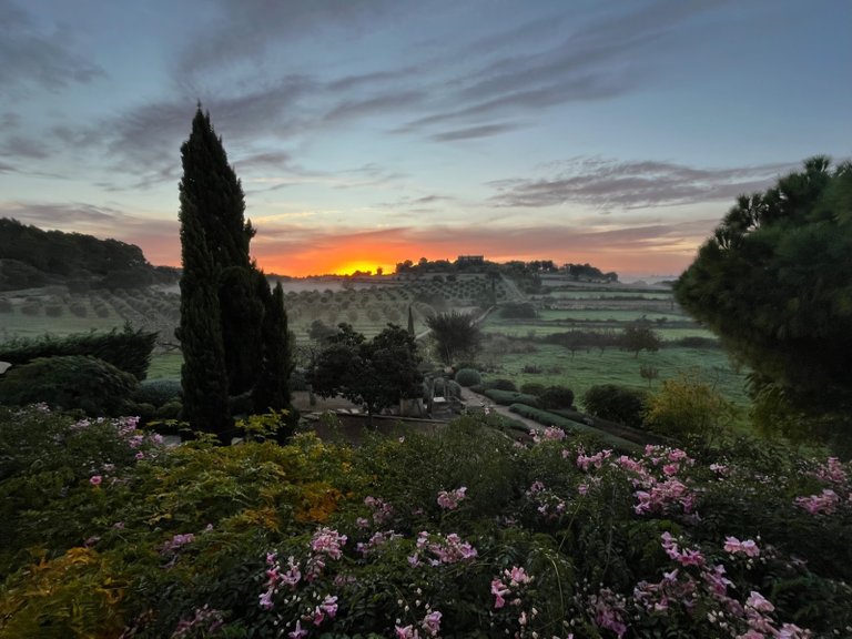 Country House for Rent in Lloret De Vistalegre, Balearic Islands 18