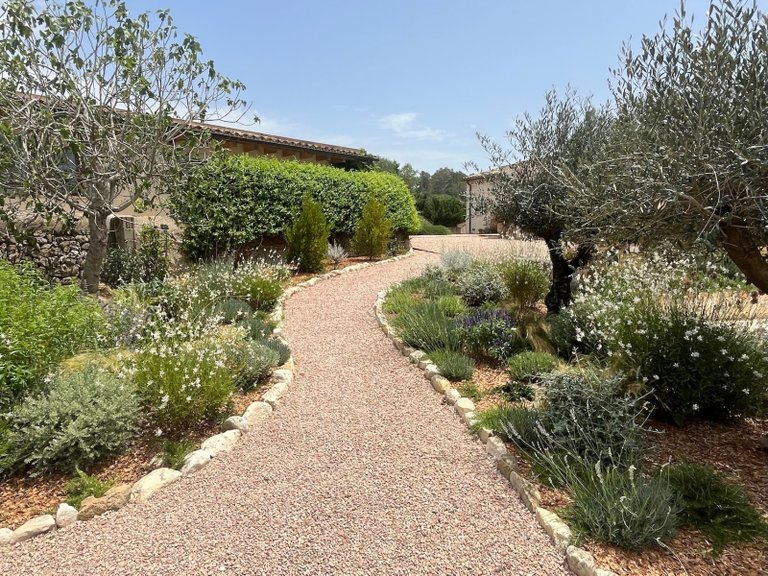 Country House for Rent in Lloret De Vistalegre, Balearic Islands 12