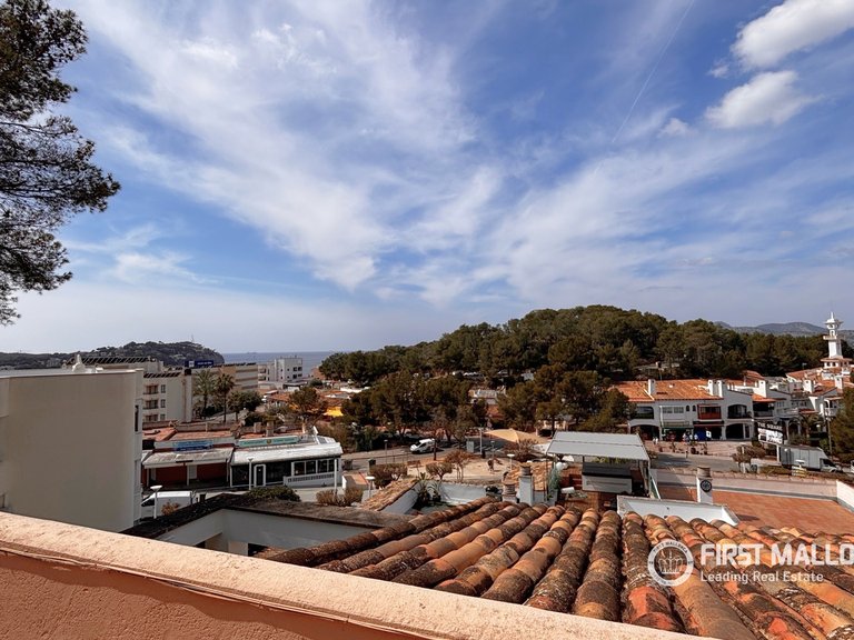 Villa for Sale in Santa Ponsa, Balearic Islands 31