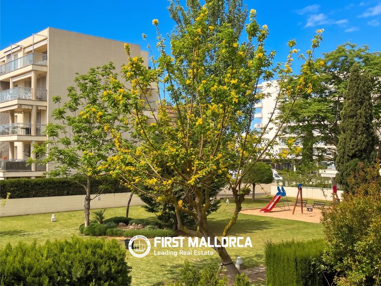 Apartment for Sale in Palma De Mallorca, Balearic Islands 20