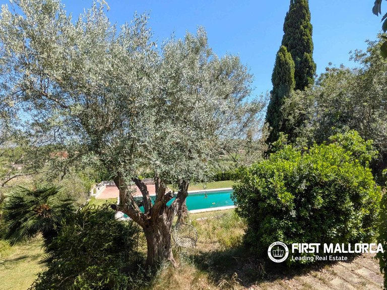 Villa for Sale in Establiments, Balearic Islands 2