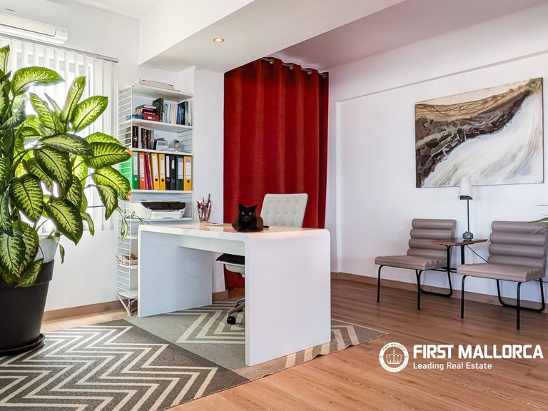Penthouse for Sale in Palma De Mallorca, Balearic Islands 6