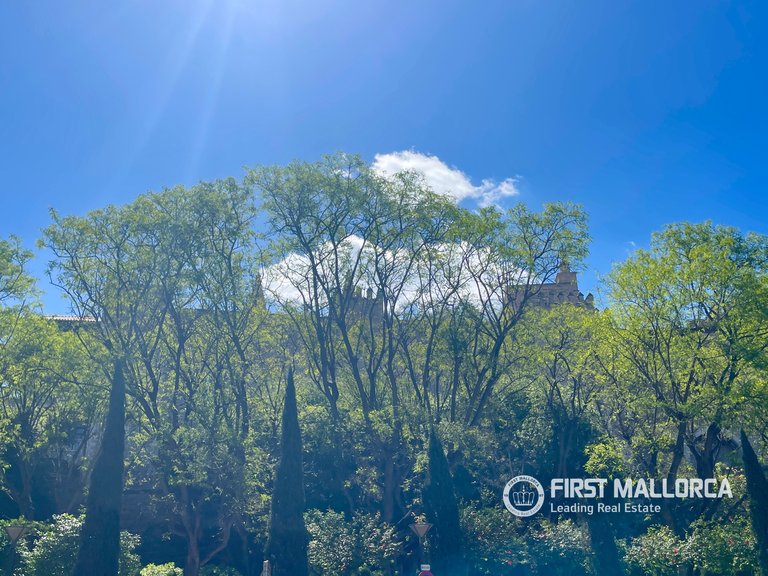 Apartment for Sale in Palma De Mallorca, Balearic Islands 26