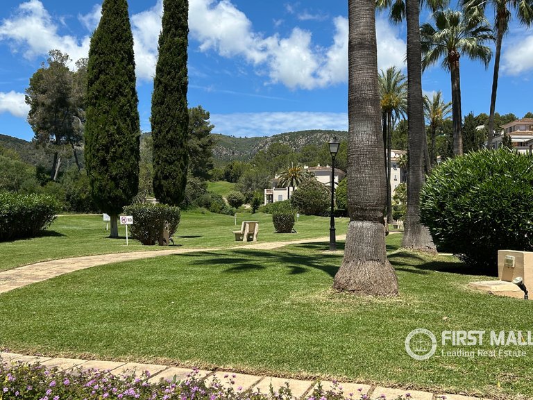 Apartment for Rent in Bendinat, Balearic Islands 23