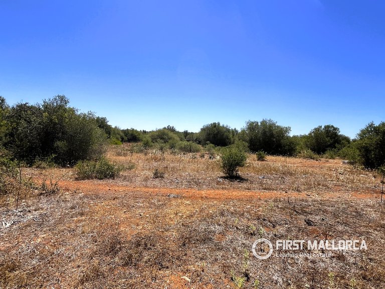 Plot for Sale in Campos, Balearic Islands 6