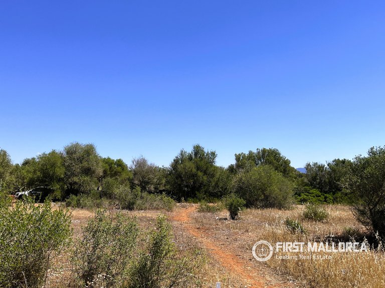 Plot for Sale in Campos, Balearic Islands 5