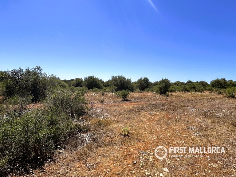 Plot for Sale in Campos, Balearic Islands 3