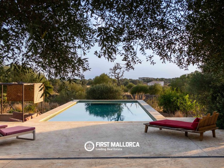 Country House for Sale in Ses Salines, Balearic Islands 33