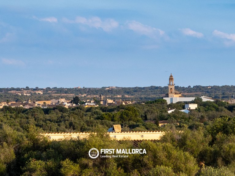 Country House for Sale in Ses Salines, Balearic Islands 36