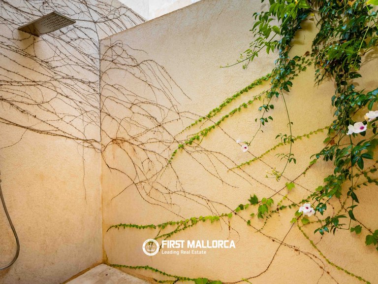 Country House for Sale in Ses Salines, Balearic Islands 16