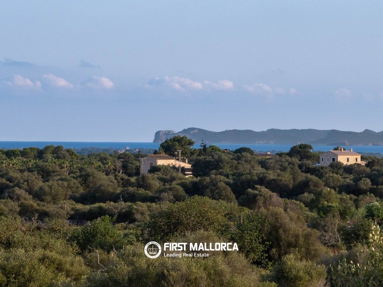 Country House for Sale in Ses Salines, Balearic Islands 37