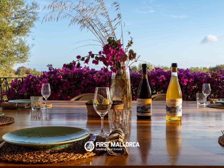Country House for Sale in Ses Salines, Balearic Islands 30