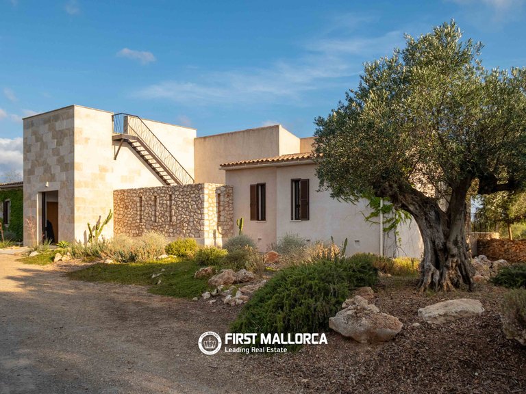 Country House for Sale in Ses Salines, Balearic Islands 4