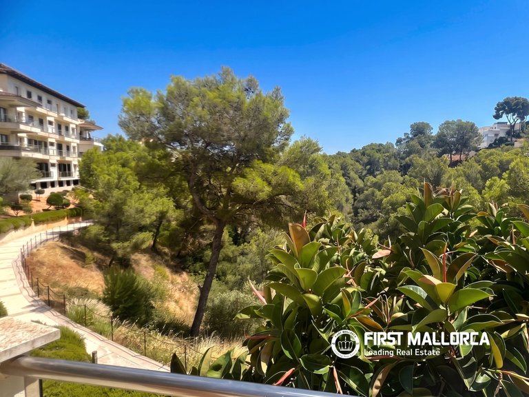 Apartment for Rent in Cas Català, Balearic Islands 6
