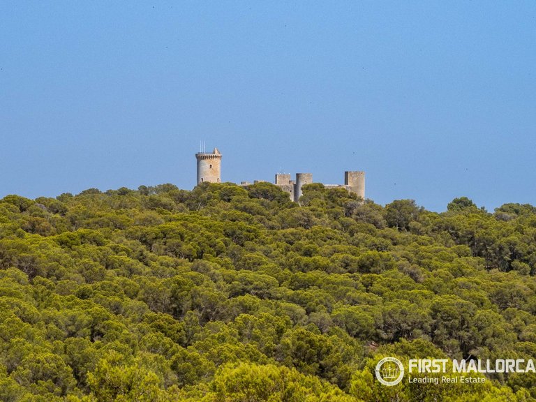 Villa for Sale in Gènova, Balearic Islands 17