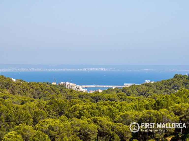 Villa for Sale in Gènova, Balearic Islands 16