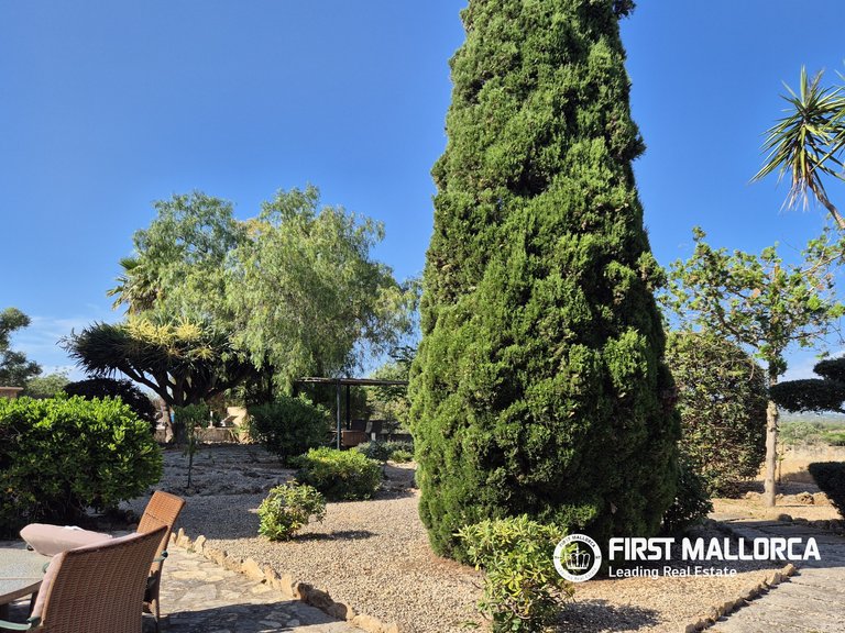 Country House for Rent in Llucmajor, Balearic Islands 16