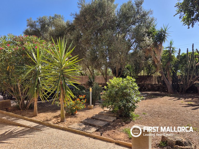 Country House for Rent in Llucmajor, Balearic Islands 4