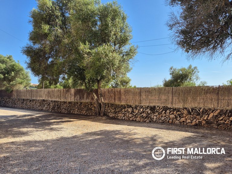 Country House for Rent in Llucmajor, Balearic Islands 24