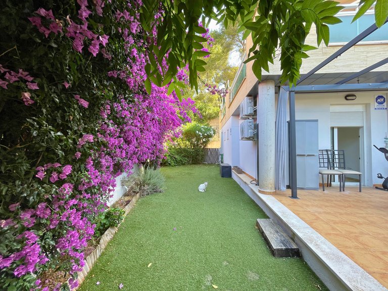 Apartment for Rent in San Agustín, Balearic Islands 1