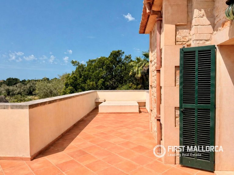 Country House for Sale in Ses Salines, Balearic Islands 13