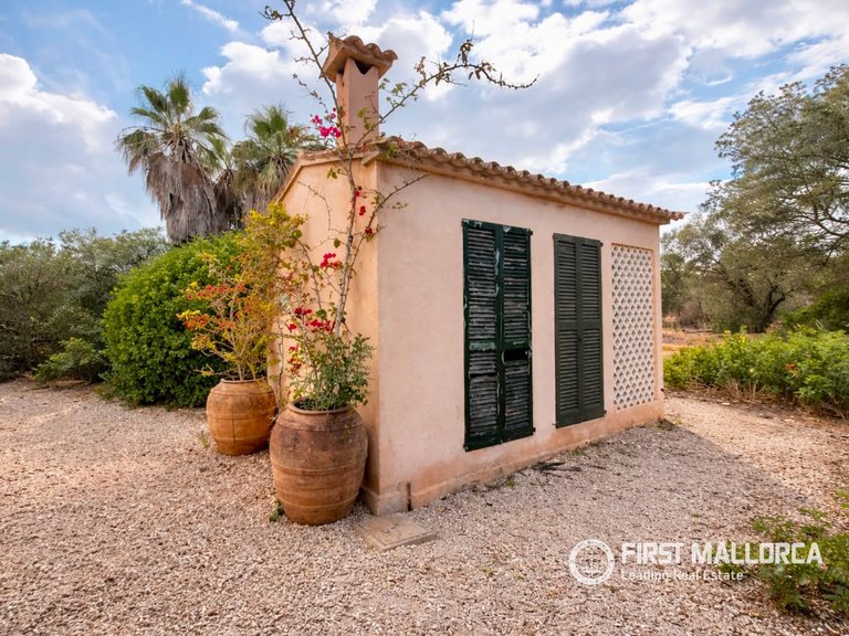 Country House for Sale in Ses Salines, Balearic Islands 15
