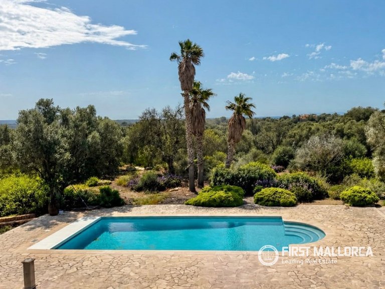 Country House for Sale in Ses Salines, Balearic Islands 14