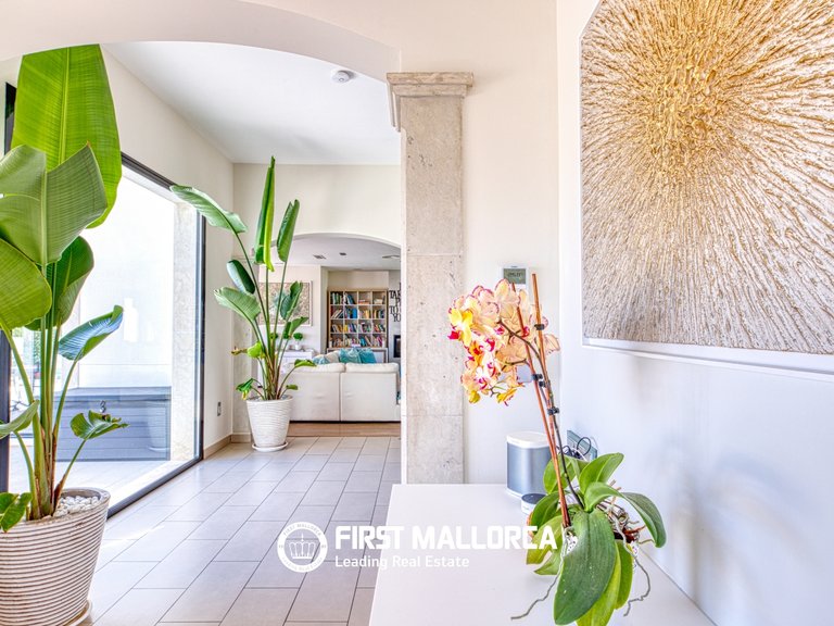 Villa for Rent in Cala Vinyas, Balearic Islands 22