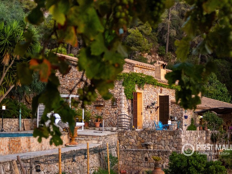 Villa for Rent in Estellencs, Balearic Islands 10