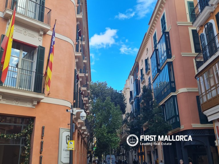 Apartment for Sale in Palma De Mallorca, Balearic Islands 16