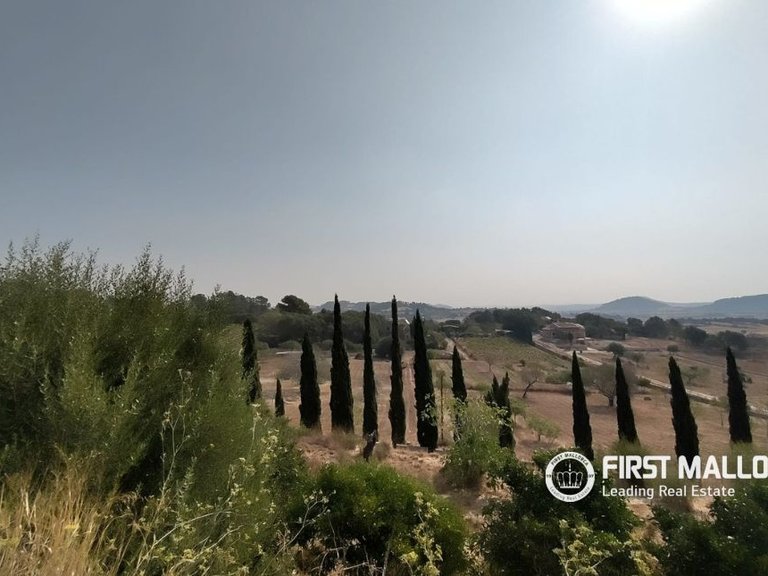 Country House for Sale in Lloret De Vistalegre, Balearic Islands 20