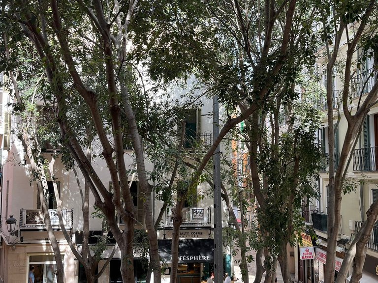 Apartment for Rent in Palma Old Town, Balearic Islands 9