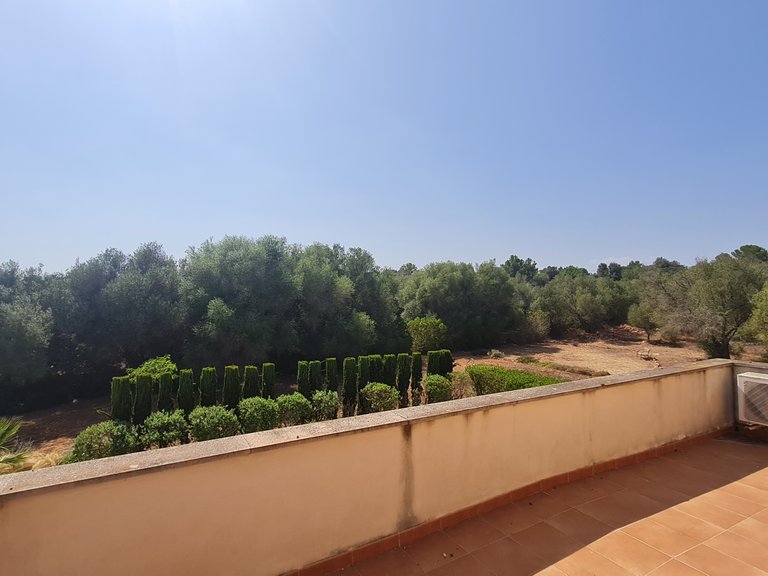 Country House for Rent in Algaida, Balearic Islands 11