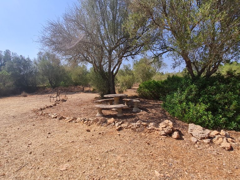 Country House for Rent in Algaida, Balearic Islands 20