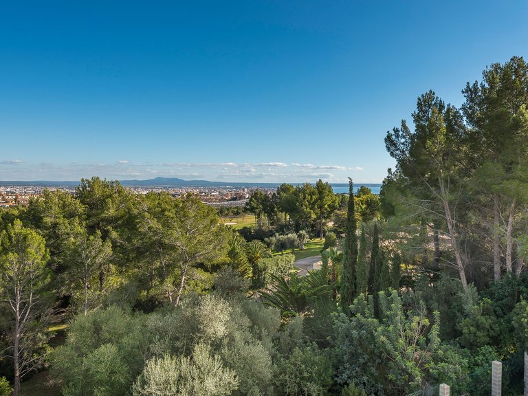 Villa for Rent in Son Vida, Balearic Islands 8
