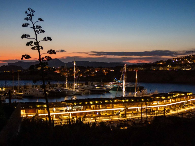 Villa for Sale in Port Adriano, Balearic Islands 22