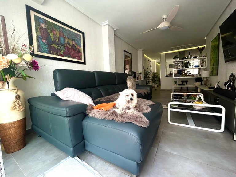 Penthouse na sprzedaż w Playa de los Locos, Torrevieja, Alicante 7