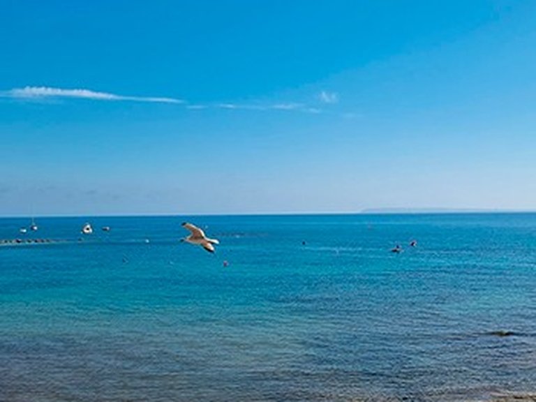 Apartment for Sale in Alicante, Alicante 12