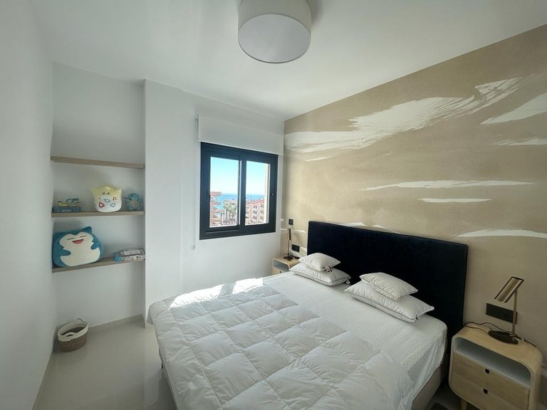 Penthouse for Sale in Guardamar Playa, Guardamar Del Segura, Alicante 15