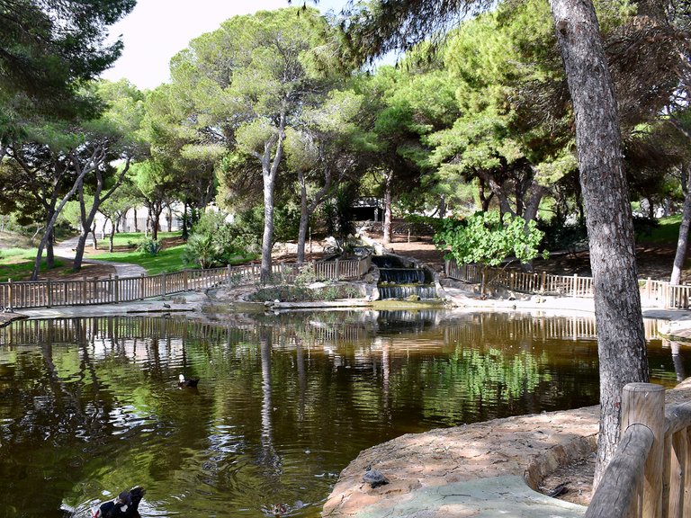 Penthouse for Sale in Guardamar Playa, Guardamar Del Segura, Alicante 28