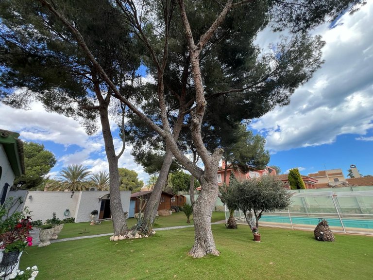 Villa for Sale in Campoamor, Orihuela Costa, Alicante 26