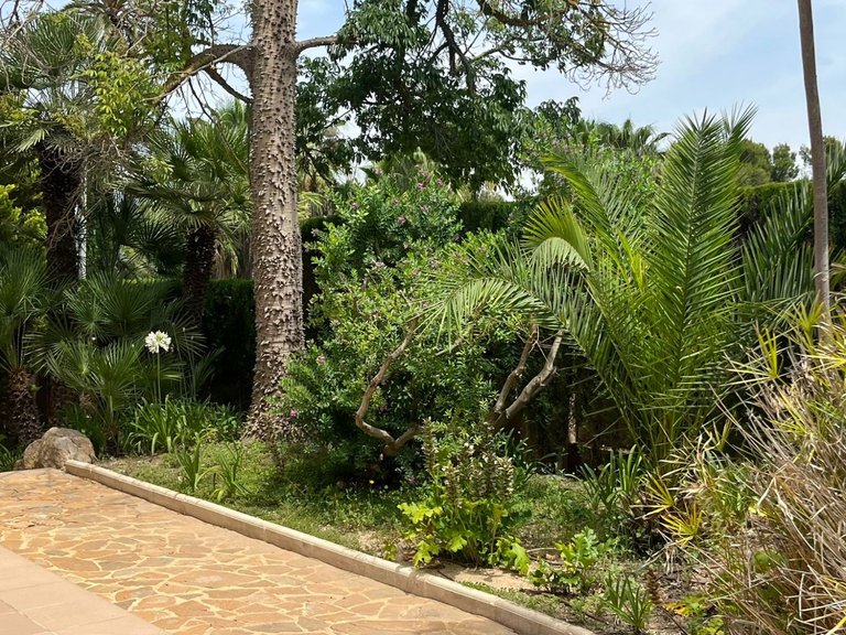 Villa for Sale in Benidorm, Alicante 32